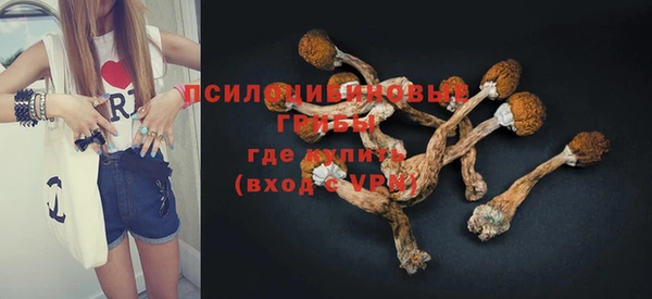 эйфоретик Алексин