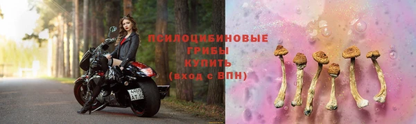 каннабис Алзамай