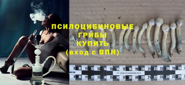 эйфоретик Алексин