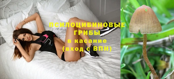 индика Алексеевка